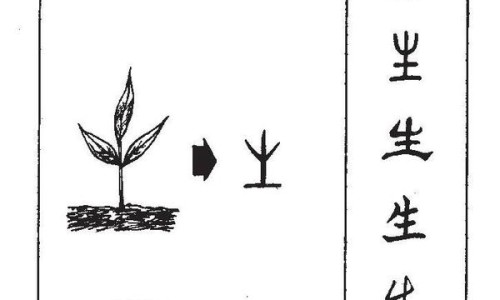 小安素的最佳吃法、小安素吃多久停一停 -小安素吃法网