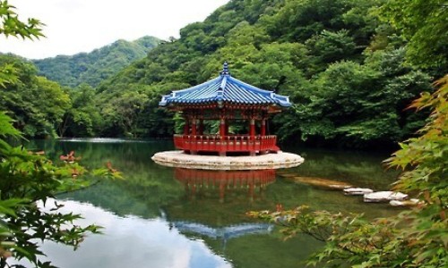小安素的最佳吃法、小安素吃多久停一停 -小安素吃法网