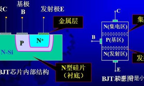 小安素一天吃几次比较好-小安素的最佳吃法、小安素吃多久停一停 -小安素吃法网